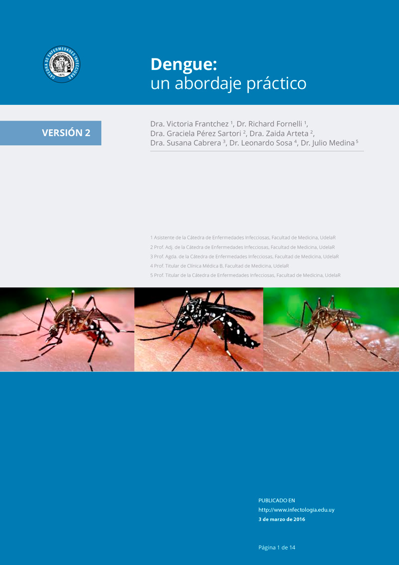 Dengue: un abordaje práctico