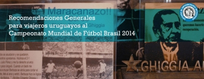 ¿Qué pueden hacer los viajeros a Brasil para la Copa Mundial FIFA 2014 para proteger su salud?