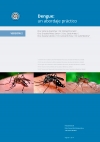 Dengue: un abordaje práctico. [Versión 2]