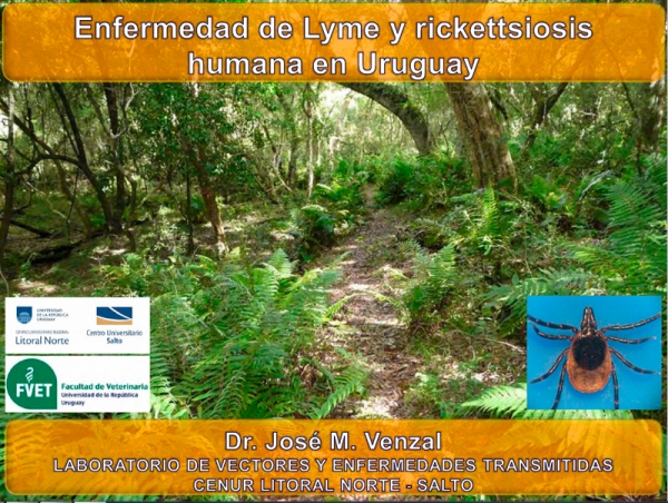 Enfermedad de Lyme y rickettsiosis humana en Uruguay