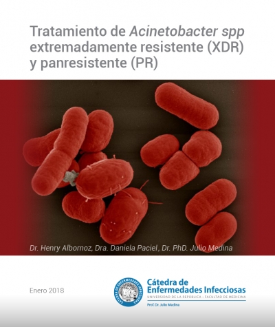 Tratamiento de Acinetobacter spp extremadamente resistente (XDR) y panresistente (PR)
