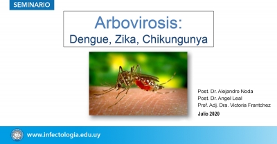 Arbovirosis: Dengue, Zika, Chikungunya