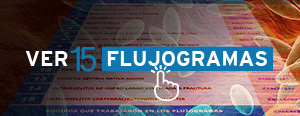 Flujogramas