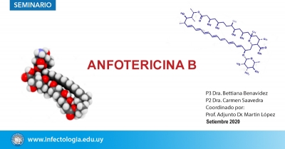 Anfotericina B