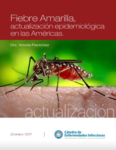 Fiebre Amarilla, actualización epidemiológica en las Américas.