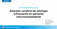 Absceso cerebral de etiología infrecuente en paciente inmunocompetente