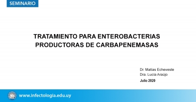 Tratamiento para Enterobacterias productoras de Carbapenemasas
