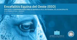 Encefalitis Equina del Oeste (EEO)