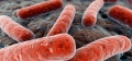 Consenso para el Tratamiento Antimicrobiano de Bacterias productoras de KPC (Agosto 2011)