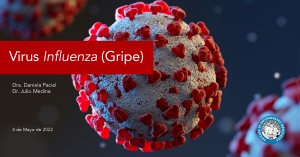 Virus Influenza (Gripe)