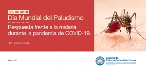 25 de abril, Día Mundial del Paludismo.