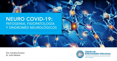 NEURO COVID-19: Patogenia, Fisiopatología y Síndromes Neurológicos.