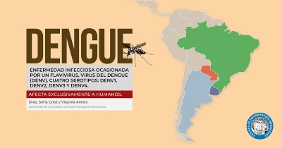Infografía sobre Dengue