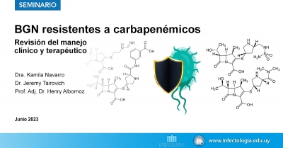 BGN resistentes a carbapenémicos