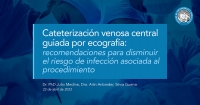 Cateterización venosa central guiada por ecografía: recomendaciones para disminuir el riesgo de infección asociada al procedimiento