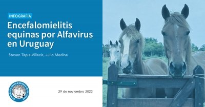 Encefalomielitis equinas por Alfavirus en Uruguay