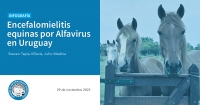 Encefalomielitis equinas por Alfavirus en Uruguay