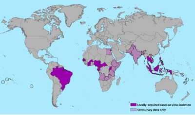 Virus Zika: enfermedad emergente en las américas