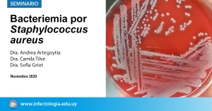 Bacteriemia por Staphylococcus aureus
